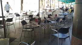 Clever pigeon. Feast at your table.
