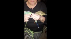 Finch excited about granny knitting