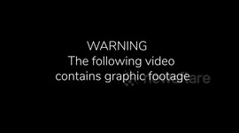 This video shows the moment a F4 racing driver travelling at at 170kph was hit in the face - by a PHEASANT