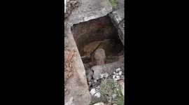 Sewage engineer wretches as he unblocks pongy drainpipe