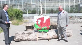 Prince Charles visits the National Botanical Gardens in Wales