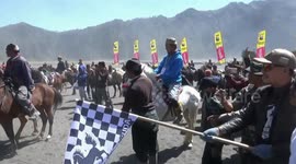 horse racing in the sea of sand