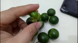 Bizarre lime shape