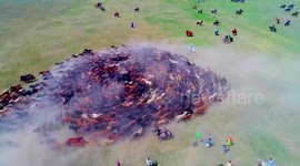 Spectacular drone footage of hundreds of horses spiralling at Naadam festival in China