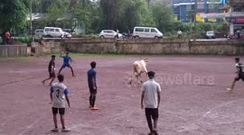 Watch the Indian viral superstar 'Cow-naldo' take on locals at football