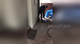 Newsflare Edit - Extremely Blocked Drain! #Pressue