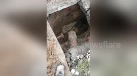 Newsflare Edit - Unclogging a really stinky SMELLY Drain!