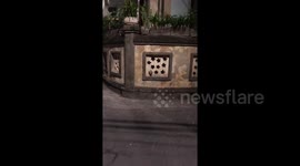 Dog barking through hole in wall