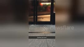 Newsflare Edit - Mice in Subway Greenwich