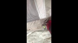 Waking up teenage boys by assaulting them with the bug-a-salt gun 4th of July camping trip