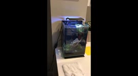 Fish tank spills as strong quake hits California