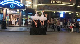Swan hand puppet ! Swan dance performance is extremely unique