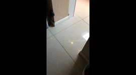 Things to do instead of watching love island