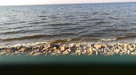 Morning Water View In Qaroun Lake Egypt Ancient Pharonic Lake