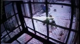 Moment monkey gang attacks man in northern India, forcing him to the ground