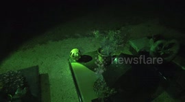 Mysterious object flies past camera in cemetery