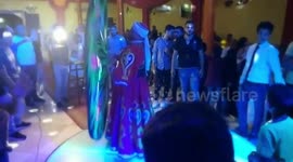 People Try To Copy Cat Dancer Show In wedding