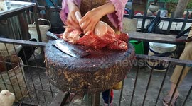 strange, this cat doesn't like chicken