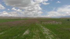 Landscape, Natures, Flowers, Drone video of South of Naryn, Central Asia, Kyrgyzstan, …