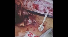 Indonesian man guts fish, finds it’s full of plastic junk