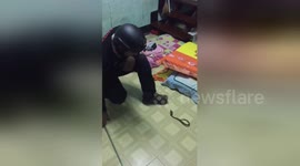 Fireman struggles to catch fearsome baby cobra at Thai home