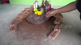 Superstitious locals worship giant mushroom in Thailand believed to bring good fortune