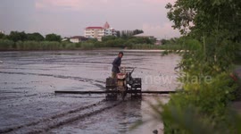 A farmer prepares his paddy field for rice planting at Pathumthani, Thailand.