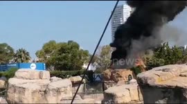 Smoke rises above Spanish city after fire breaks out at Europe's largest aquarium