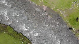 River & Horses Bird view, Altyn Arashan River, Issyk Kul Lake, Kyrgyzstan, Central Asia.