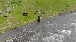 River & Horses Bird view, Altyn Arashan River, Issyk Kul Lake, Kyrgyzstan, Central Asia.