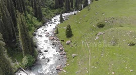 Drone video of Cow drinking the water,