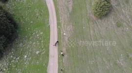 Drone video of Horses  on the road to Altyn Arashan River
