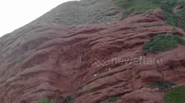 Drone Video of Mountain Goats on Seven Bulls Rock Formation, Karakol, Kyrgyzstan.