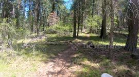 the_grouse_whisperer.mp4