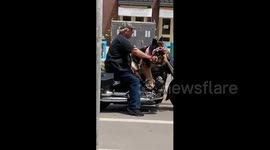 Newsflare Edit - Motorcycle dog