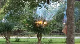 Car accident causes downed power lines to burn through trees, explode