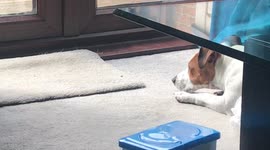 When it’s too warm to even catch a fly