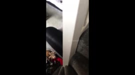 Playing catch on the stairs