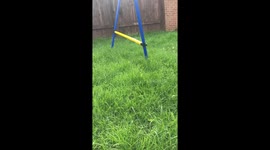 Jumping is fun!