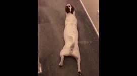 When your legs don’t work like they use to before