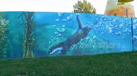 Magical Mural Pointe Claire Canoe Club