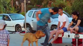 Pranksters trick people by tripping over empty air in Beirut