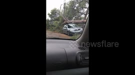 Severe hailstorms batter streets in northern Greece seeing trees topple onto cars