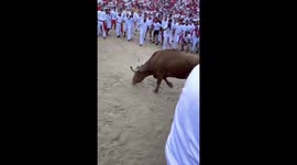 San Fermin bull attack