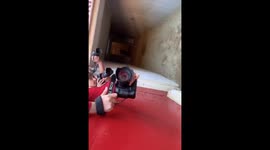 Aggressive bull attacks people