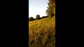 Summer days frolicking with the jugs