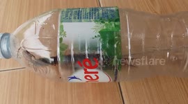 Centipede Caught In Empty Plastic Bottle
