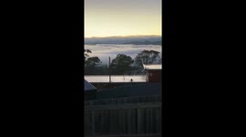 Bridgewater Jerry time lapse