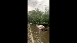 Insane on St. Charles right now. Everyone in #Nola stay safe ???????? #hurricanebarry https://t.co/8n0GCoDtt5