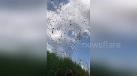 Newsflare Edit - Fisherman caught in incredible 'haynado'